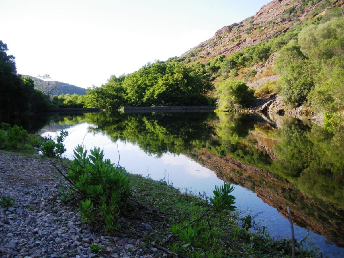 Villa Primavera غاليريا المظهر الخارجي الصورة