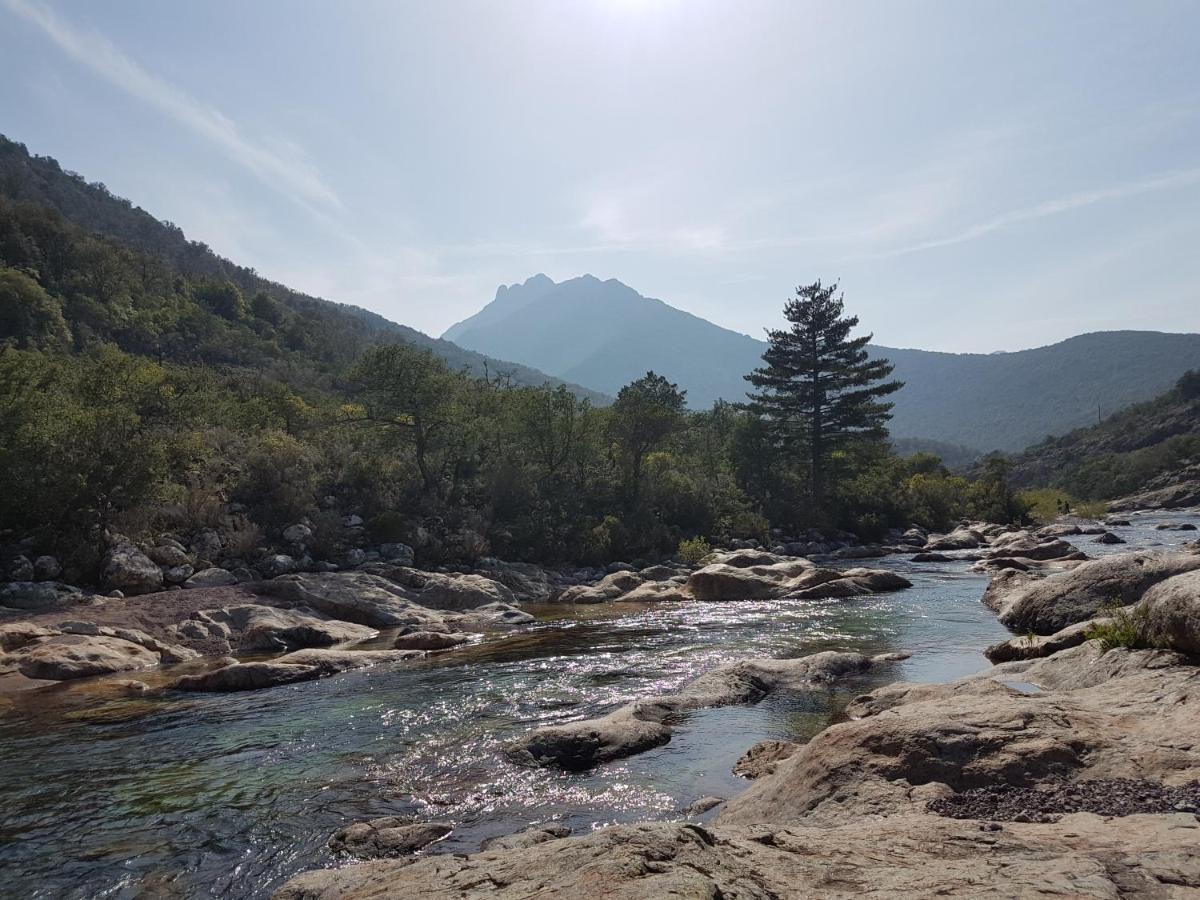 Villa Primavera غاليريا المظهر الخارجي الصورة